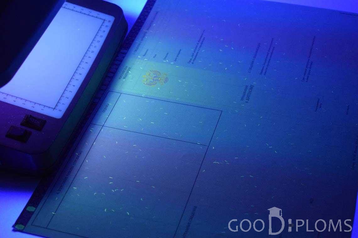 Приложение к Диплому Бакалавра с Отличием в Ультрафиолете период c 2013 по 2025 год - Миргород