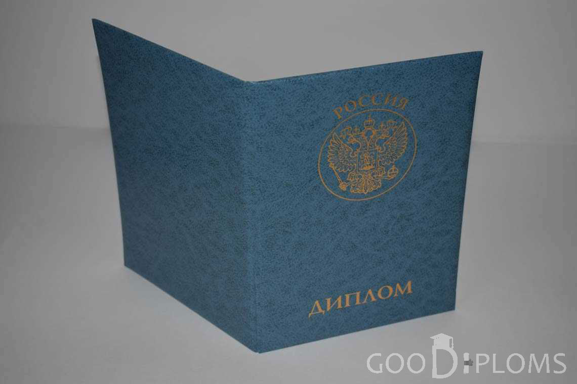 Диплом МВА - Обратная Сторона период выдачи 2011-2020 -  Миргород