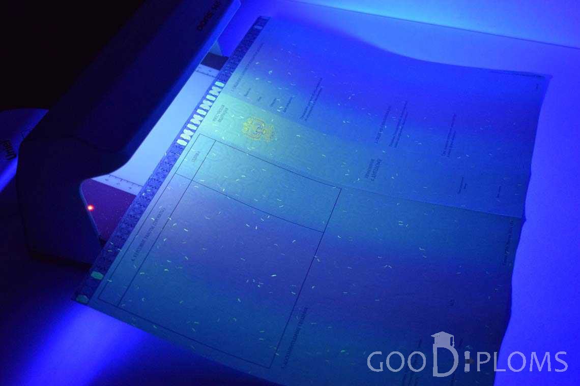 Приложение к Диплому Магистра в Ультрафиолете в период c 2014 по 2025 год - Миргород