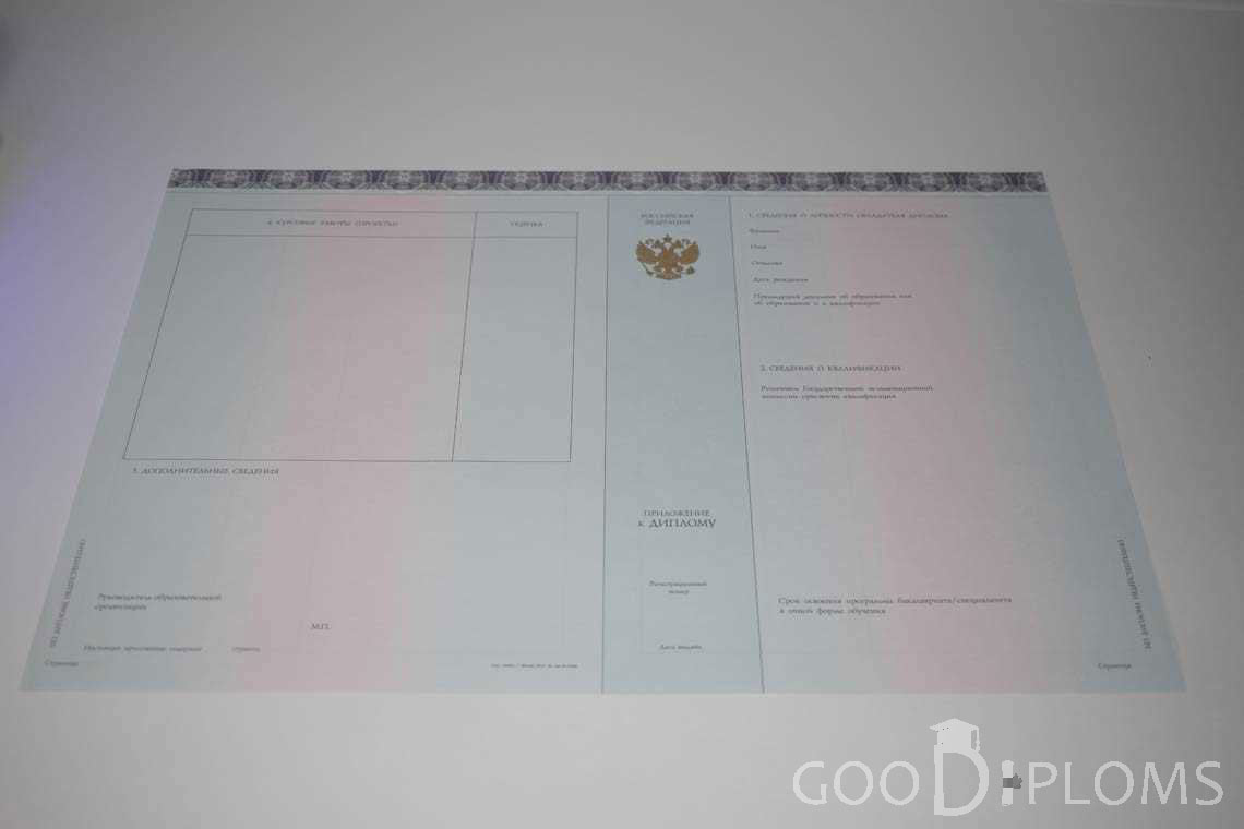 Приложение к Диплому МГИМО период выдачи 2014-2020 -  Миргород