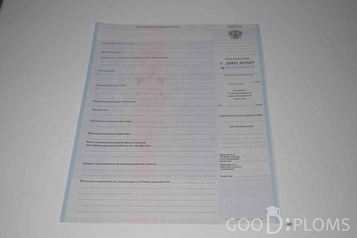 Приложение к Диплому Техникума с Отличием в период c 2008 по 2010 год - Миргород
