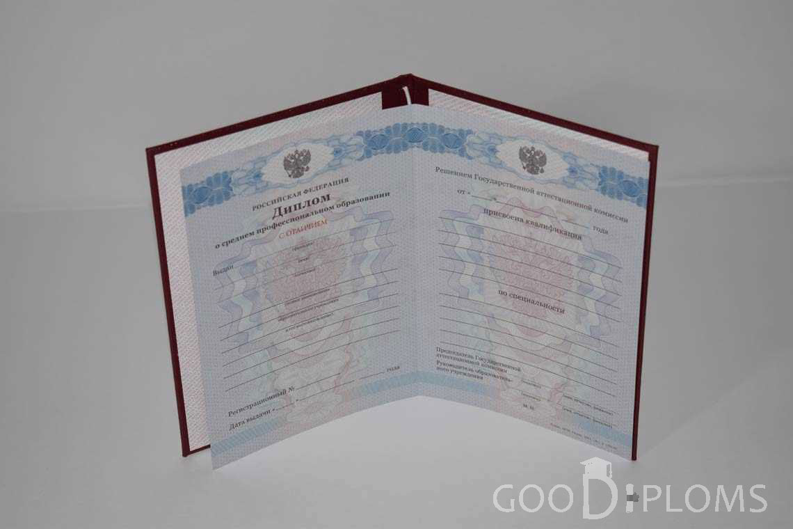 Диплом Техникума с Отличием в период c 2011 по 2013 год - Миргород
