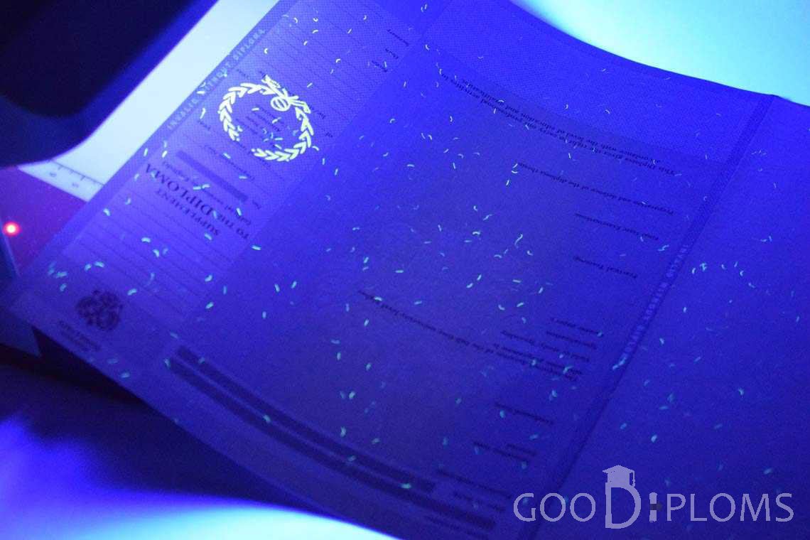 Приложение к Диплому Для Иностранных Граждан в Ультрафиолете - Миргород